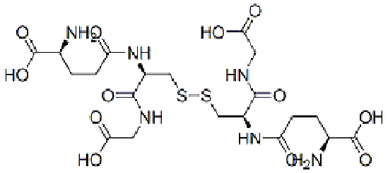 谷胱甘肽,Glutathione