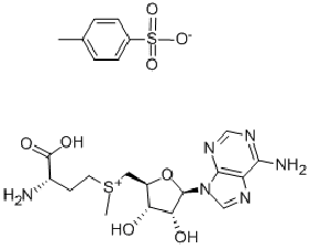 腺苷蛋氨酸,S-ADENOSYL-L-METHIONINE
