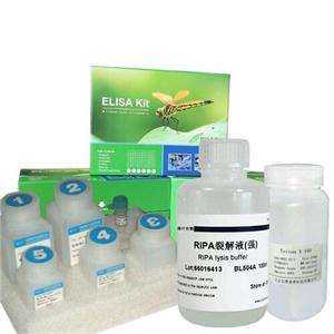 BCA法蛋白定量试剂盒,BCA Protein Assay Kit