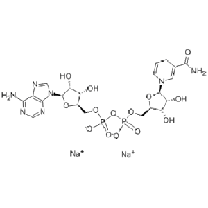 β-烟酰胺腺嘌呤二核苷二钠