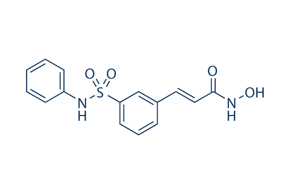 Belinostat (PXD101)