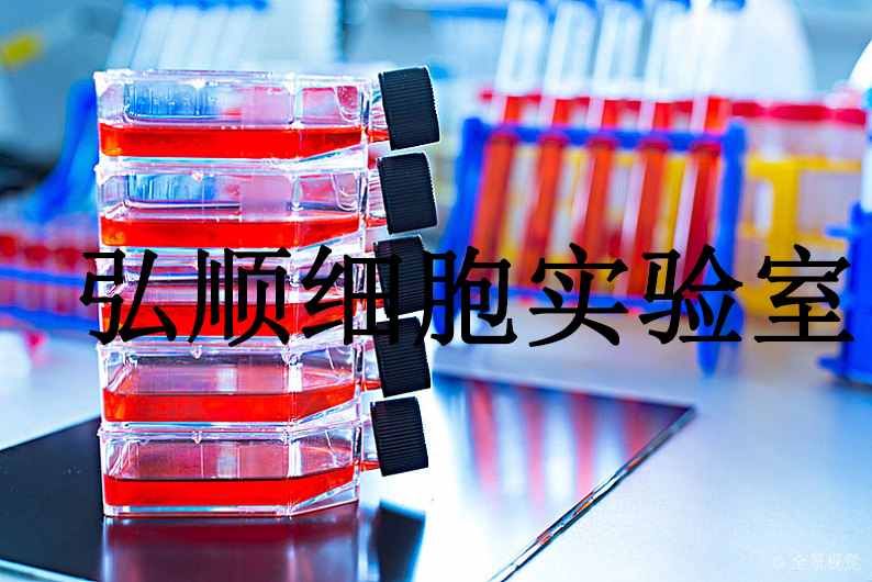 TC-1 [Mouse lung]小鼠肺上皮贴壁细胞系,TC-1 [Mouse lung]
