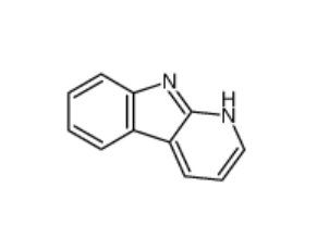 9H-吡啶并[2,3-B]吲哚,9H-pyrido[2,3-b]indole