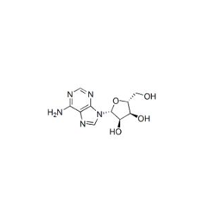 腺苷,adenosine