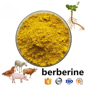 盐酸小檗碱,Berberine Hydrochloride