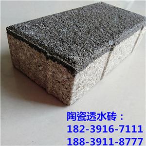 全瓷透水砖,Ecological permeable brick