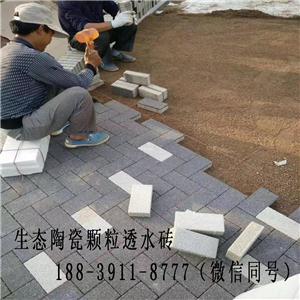 全瓷透水砖,Ecological permeable brick