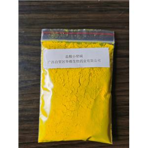 盐酸小檗碱,Berberine Hydrochloride