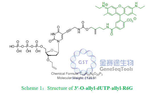 3′-O-allyl-dUTP-allyl-R6G,3′-O-allyl-dUTP-allyl-R6G