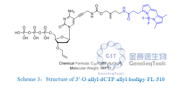 3′-O-allyl-dCTP-allyl-bodipy-FL-510,3′-O-allyl-dCTP-allyl-bodipy-FL-510