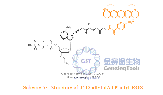 3′-O-allyl-dATP-allyl-ROX,3′-O-allyl-dATP-allyl-ROX