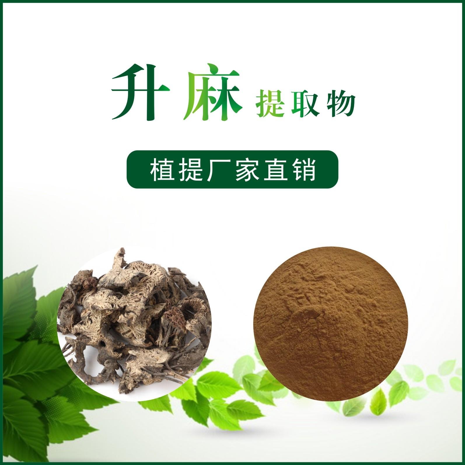 升麻提取物,Cimicifugae Rhizoma P.E