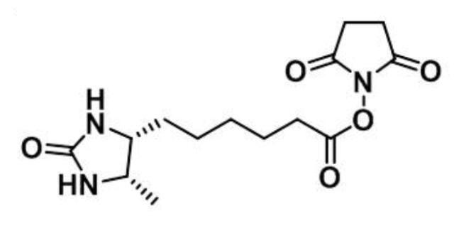 脱硫生物素-琥珀酰亚胺酯,Desthiobiotin NHS Ester,Desthiobiotin NHS Ester