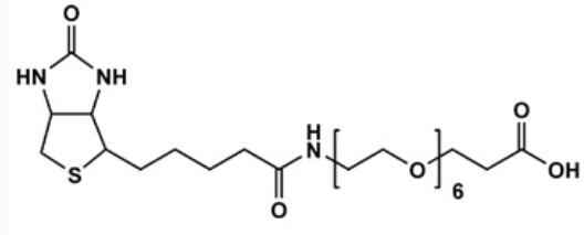 生物素-六聚乙二醇-羧酸,Biotin-PEG6-acid,Biotin-PEG6-acid