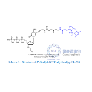 3′-O-allyl-dCTP-allyl-bodipy-FL-510,3′-O-allyl-dCTP-allyl-bodipy-FL-510