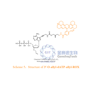 3′-O-allyl-dATP-allyl-ROX,3′-O-allyl-dATP-allyl-ROX