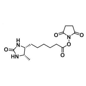 脱硫生物素-琥珀酰亚胺酯,Desthiobiotin NHS Ester,Desthiobiotin NHS Ester