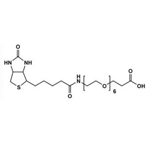 生物素-六聚乙二醇-羧酸,Biotin-PEG6-acid