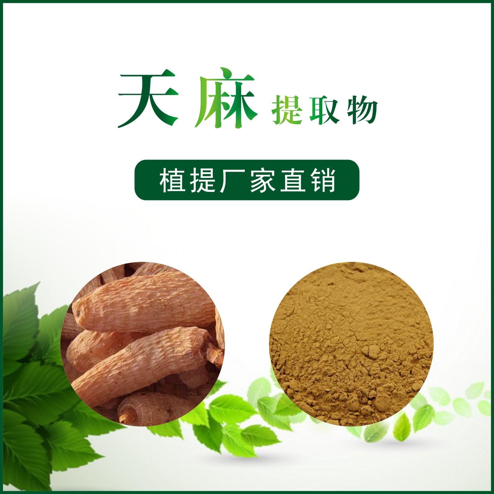 天麻提取物,Gastrodiae Rhizoma P.E