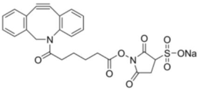 二苯并环辛基硫代 N -羟基琥珀酰亚胺酯,DBCO-sulfo-NHS ester,DBCO-sulfo-SE,DBCO-sulfo-NHS ester,DBCO-sulfo-SE