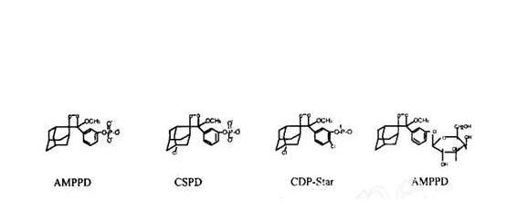 碱性磷酸酶化学发光底物 AMPP,AMPPD
