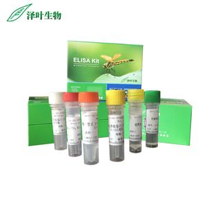黄绿青霉染料法荧光定量PCR试剂盒