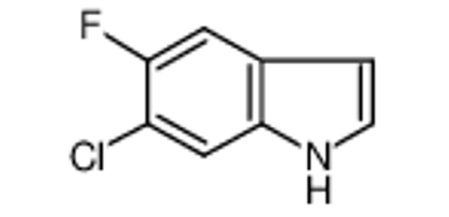 6-氯-5-氟吲哚,6-Chloro-5-fluoroindole
