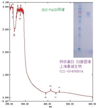 轉(zhuǎn)鐵蛋白(牛來源),Transferrin for Cell Culture