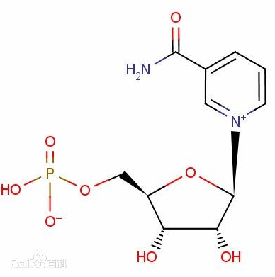 β-烟酰胺单核苷酸,BETA-NICOTINAMIDE MONONUCLEOTIDE