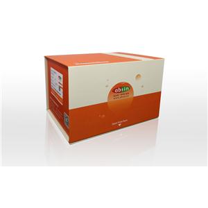 大鼠白介素6(IL-6) ELISA试剂盒,Rat IL-6 ELISA  Kit