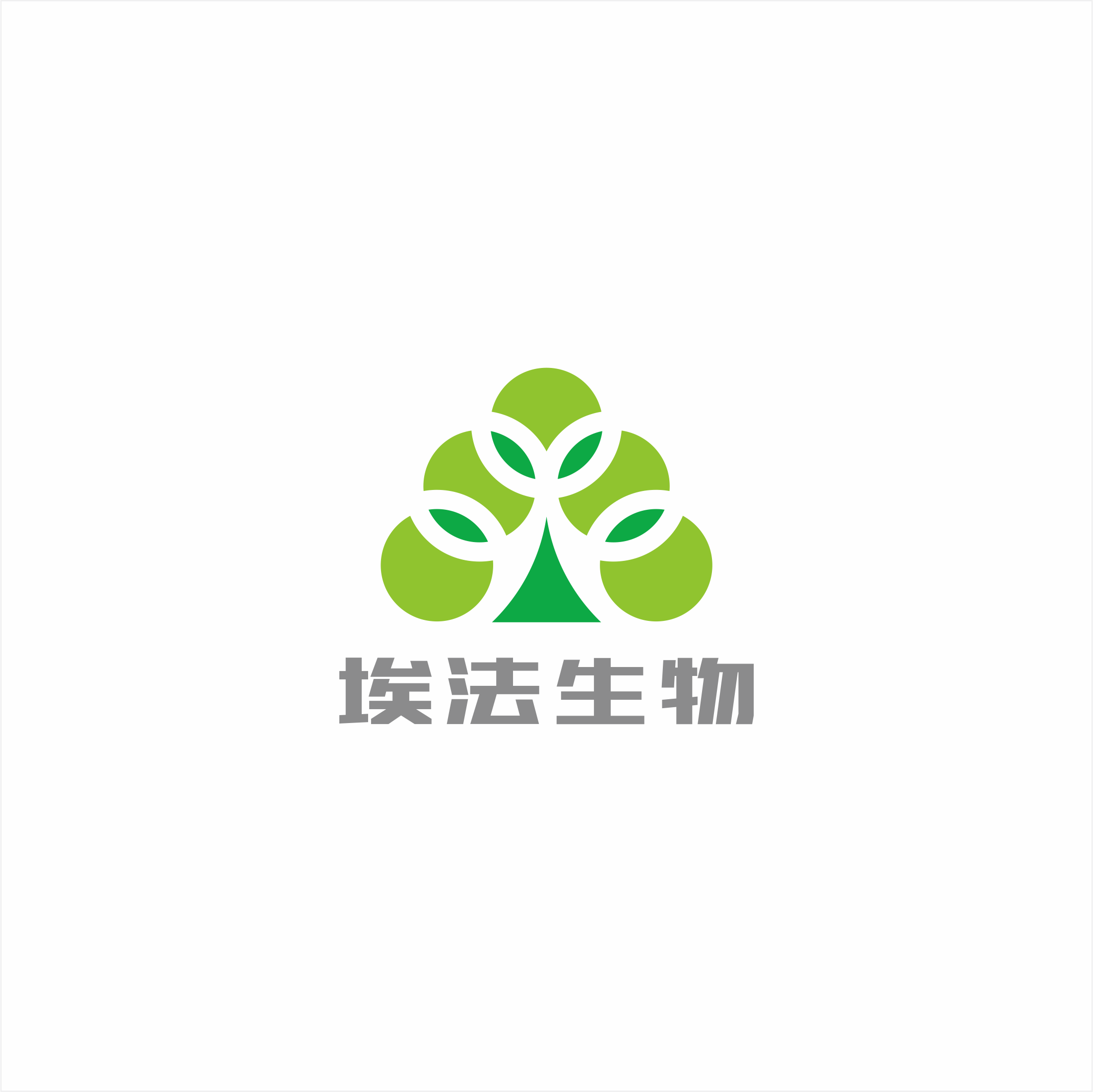 巖白菜素