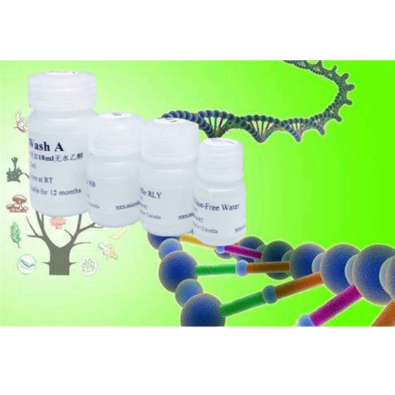 PCR纯化试剂盒/DNA纯化试剂盒