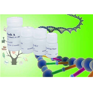 哺乳动物基因组DNA抽提试剂盒