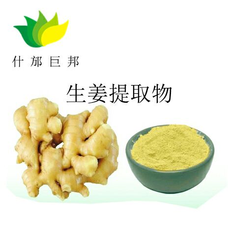 生姜提取物,Ginger Root Extract