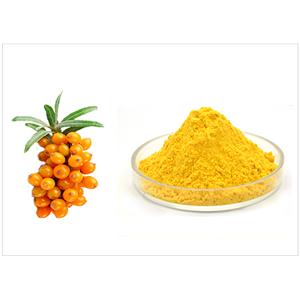 沙棘提取物,Sea Buckthorn Powder