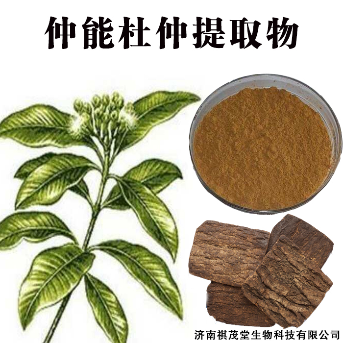 仲能杜仲叶提取物,Cortex Eucommiae