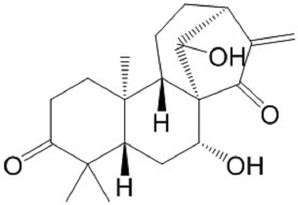 藍萼甲素,Glaucocalyxin A