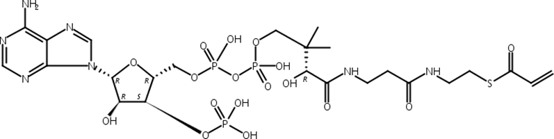 丙烯酰辅酶A,Acrylyl-Coenzyme A