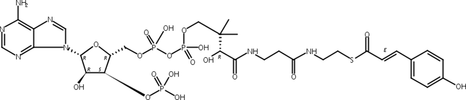 对香豆酰辅酶A,p-Coumaryl-Coenzyme A