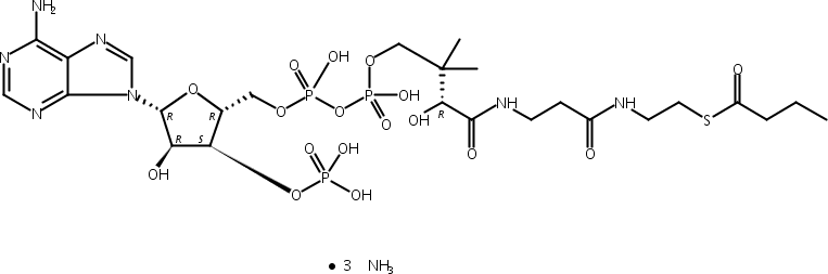 丁酰基辅酶A (钠盐,Butanoyl Coenzyme A Sodium Salt
