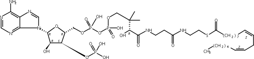 亚油酰基辅酶A,游离酸,Linoleoyl Coenzyme A, Free acid