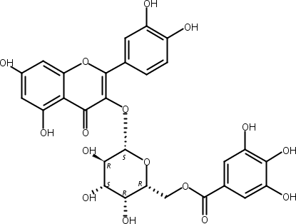 槲皮素3-O-(6''-没食子酰基)-β-D-半乳糖苷,Quercetin 3-O-(6′′-galloyl)-β-D-galactopyranoside