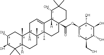 Arjunetin