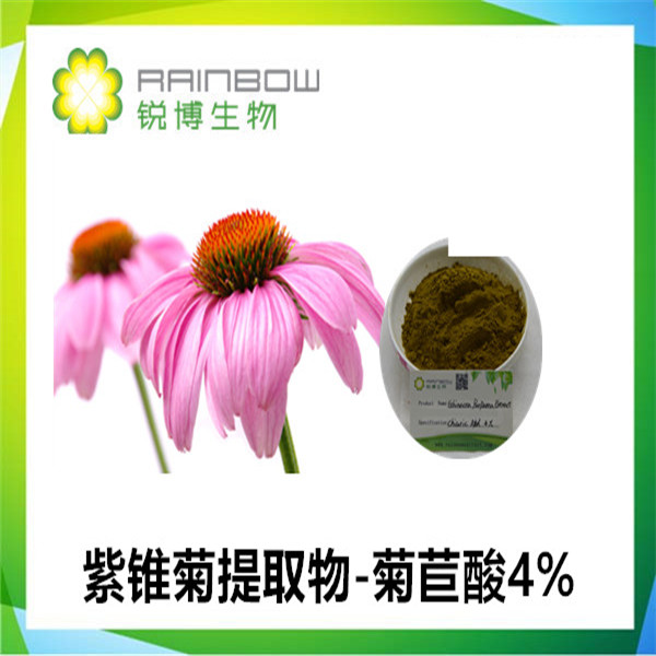 紫锥菊提取物,Echinacea Extract