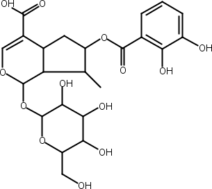 乌奴龙胆苷D,Gentiournoside D
