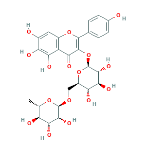 6-羟基山柰酚-3-O-芸香糖苷