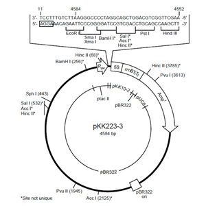 pKK223-3 载体,pKK223-3