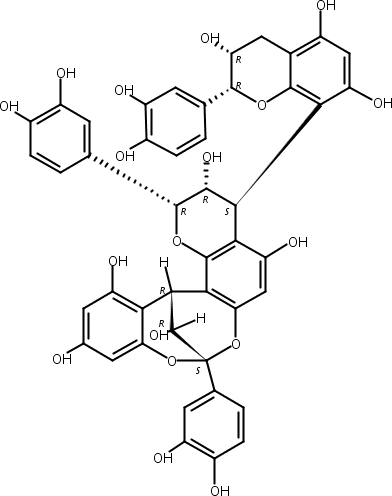 桂皮鞣质B1,Cinnamtannin B1