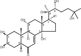 土克甾酮,Turkesterone