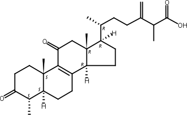 樟芝酸A,antcin A
